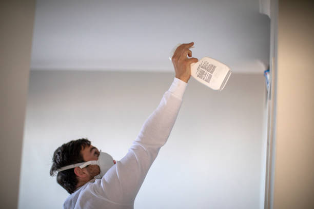 Best Basement Mold Remediation in Elk River, MN
